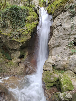 photo,france